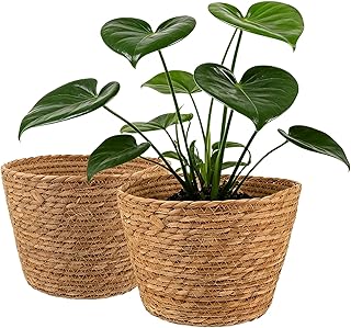 Wicker planter basket