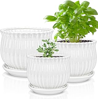 White ceramic planter