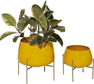 Amber planter