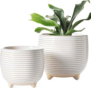 Ceramic planter set